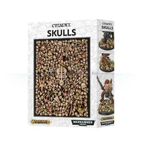 Citadel Skulls - 64-29 Paiement Sécurisé