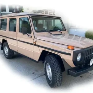 Promotion Saisonnière ACE 72470 4x4 LKW 0,5t GL Typ 460