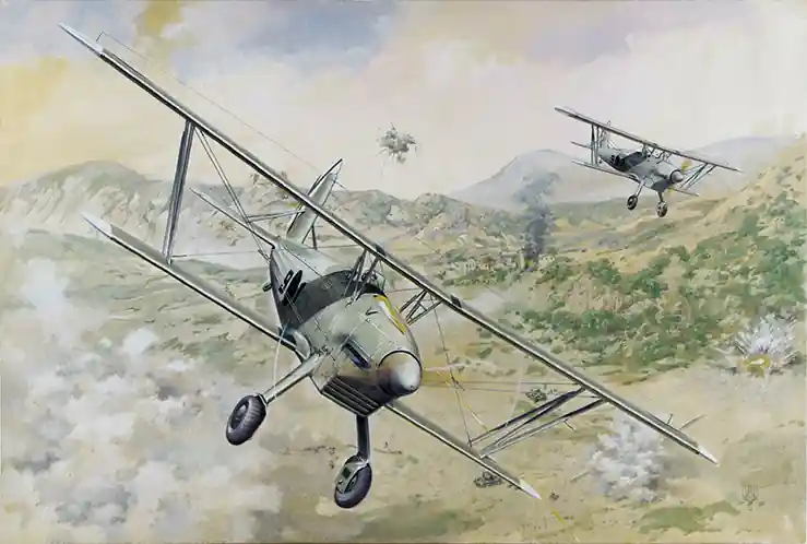 Roden 427 Arado Ar 68E Acheter En Ligne